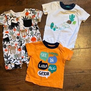 Bundle of Gymboree Baby Boy Outfits - 3-6 months